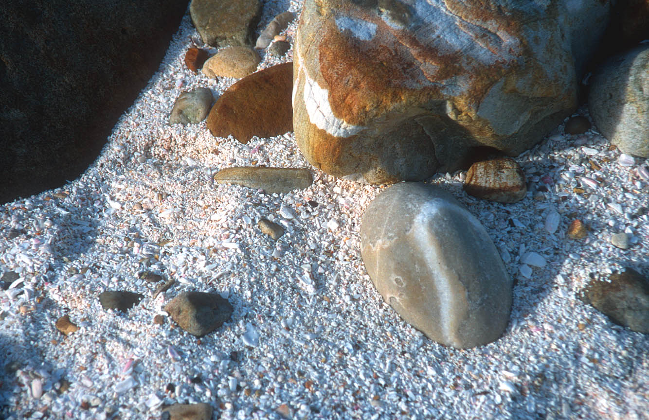 http://www.tropical-island.de/CPT%20Cape%20Town%20Cape%20of%20Good%20Hope%20Nature%20Reserve%20beach%20sand%20b.jpg