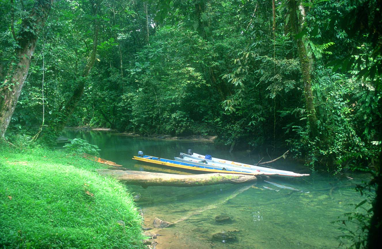 MZV%20Gunung%20Mulu%20National%20Park%20boats%20parking%20outside%20Wind%20Cave%20b.jpg